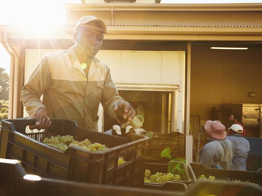 Agribusiness image